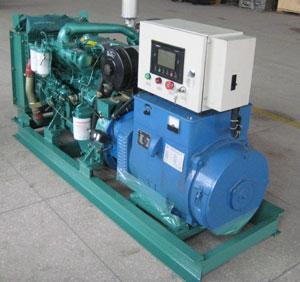 六安发电机出租 六安发电机出租